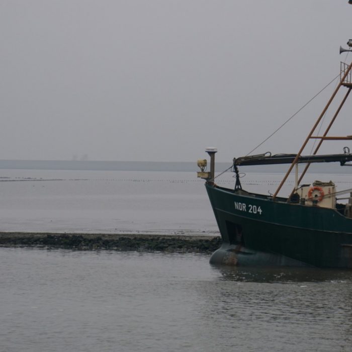 Ausfahrt - Norddeich 2019