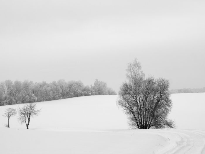 Abbiegung - Hallertau 2019