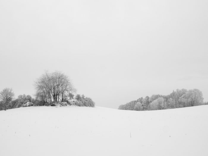 Bodenwelle - Hallertau 2019