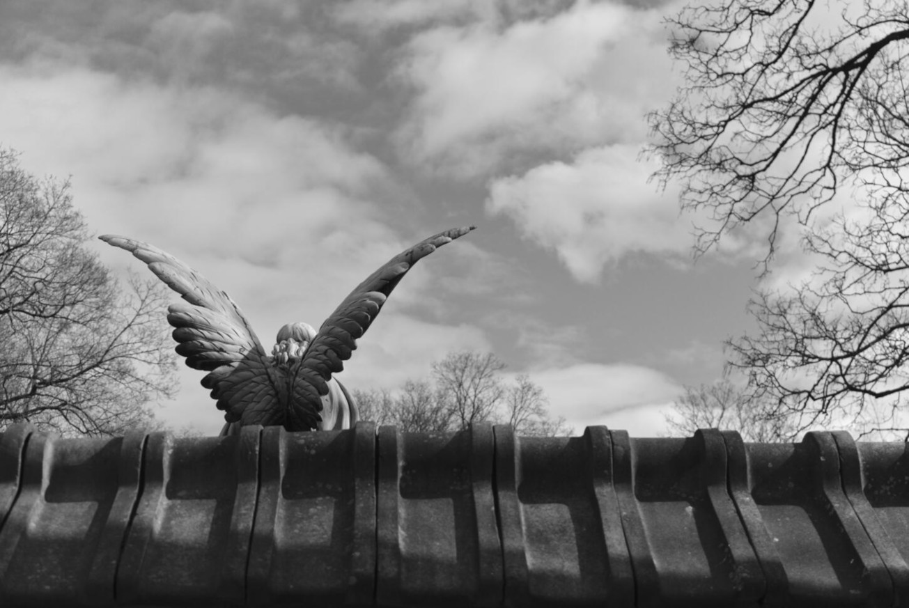 Tag 6 - Engel am Nordfriedhof