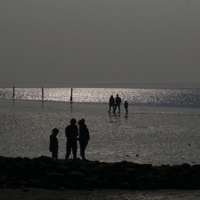 Wattläufer - Norddeich 2019