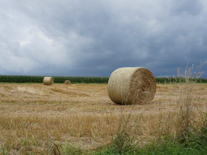 Nach der Getreideernte im Vogelsberg