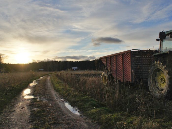 Feldweg in Südfinnland