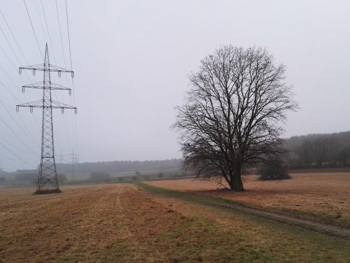 Feldweg und Stromtrasse im Vordertaunus