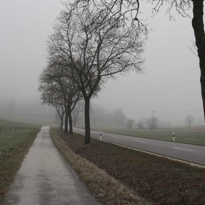 Allee vor der Ortseinfahrt