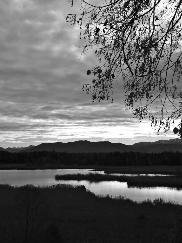 Gartensee am Morgen