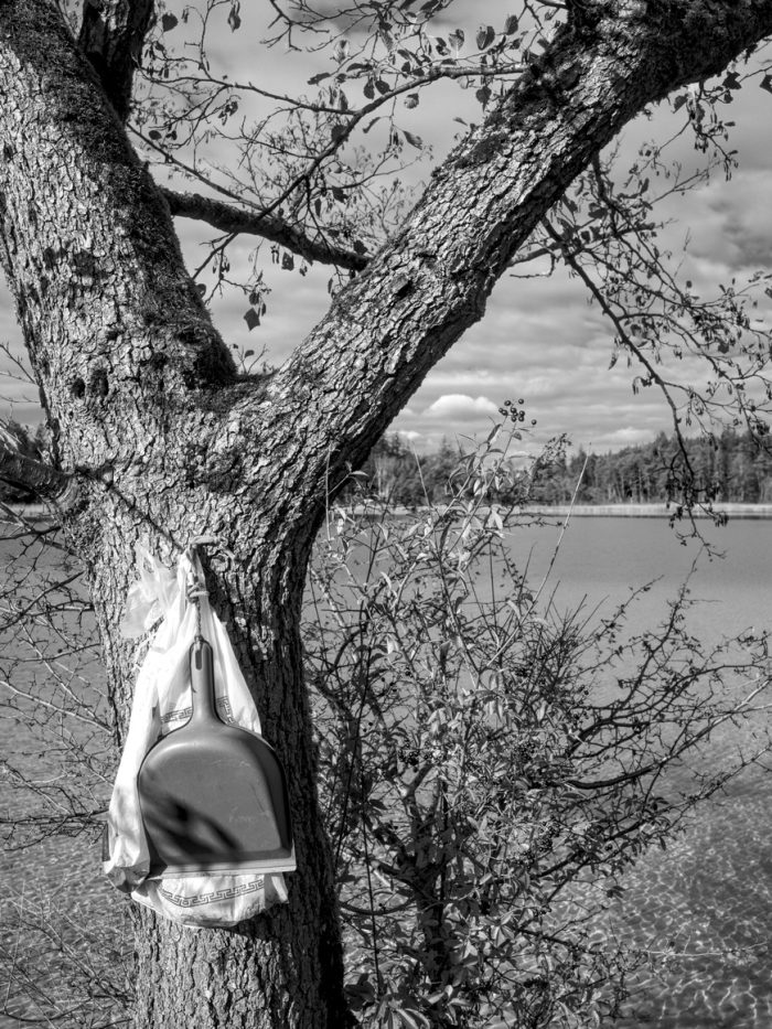 Mysteriöse Schaufel am Baum am Fohnseeufer