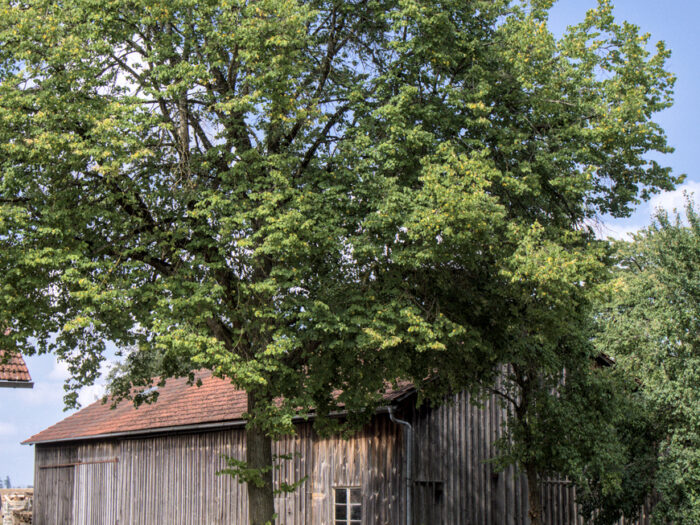 Scheune beim Lebenshof