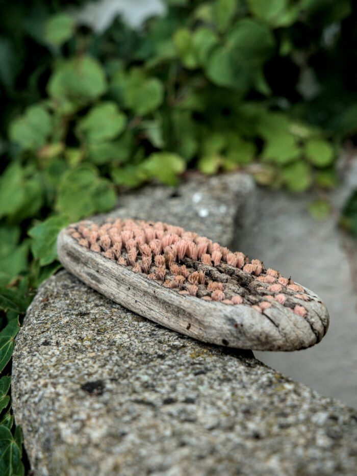 Alte Bürste am Waschstein