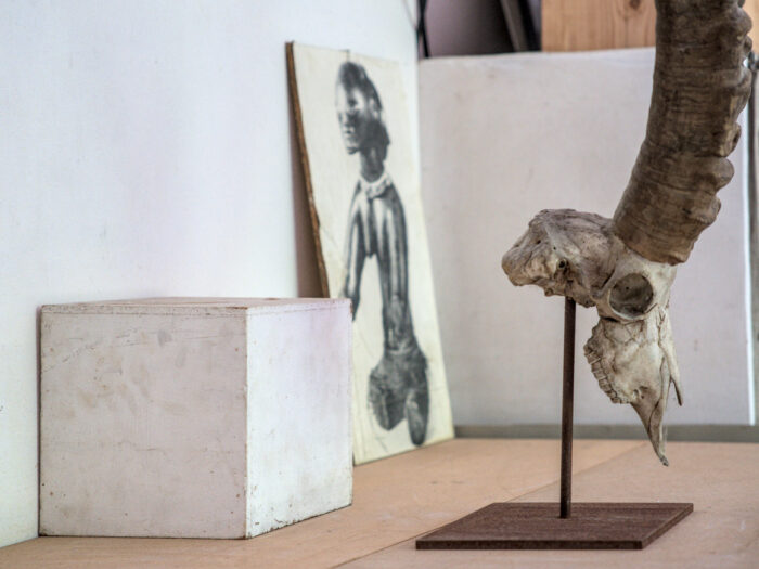 Afrikanischer Widderschädel im Atelier