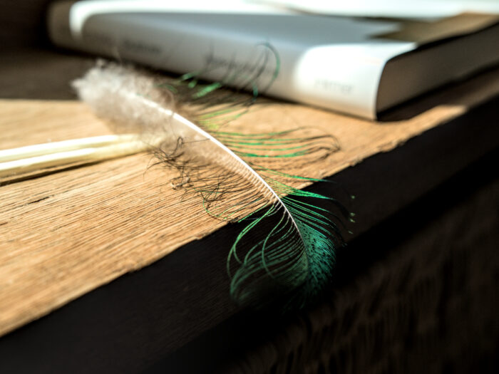 Pfauenfeder und Buch am Wohnzimmerfenster